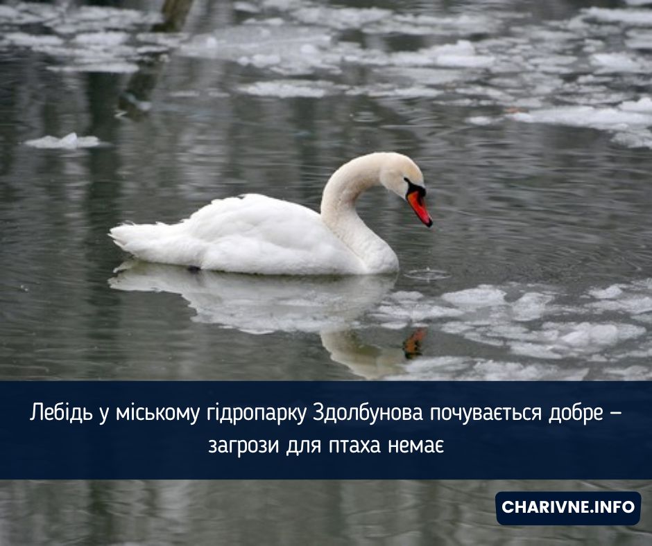 Фото ілюстративне